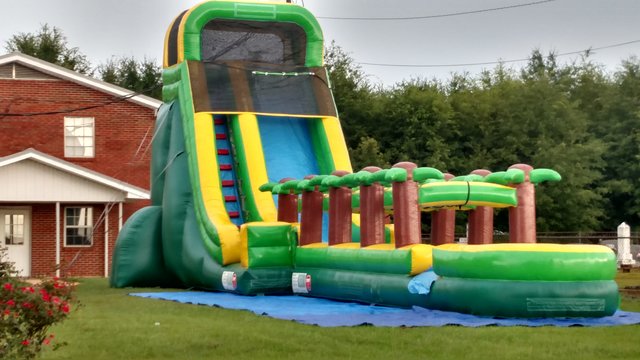 20' Palm Tree with slip n slide and splash pad 20' Palm Tree with slip n slide and splash pad